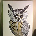 Who gives A Hoot 18x24